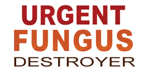 7 To Help Stay Healthy During Cold And Flu Season